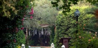 Φαναράκια: Το Διακοσμητικό Μust Σε Κάθε Δεξίωση