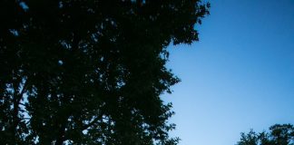 Ένας Ρομαντικός Φθινοπωρινός Γάμος Για Την Άννα Και Το Χρήστο!